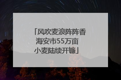 风吹麦浪阵阵香 海安市55万亩小麦陆续开镰