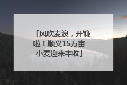 风吹麦浪，开镰啦！顺义15万亩小麦迎来丰收