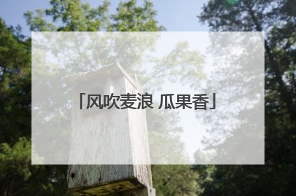 风吹麦浪 瓜果香