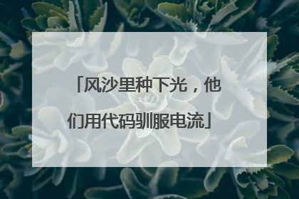 风沙里种下光，他们用代码驯服电流