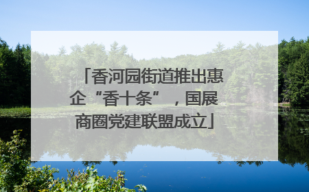 香河园街道推出惠企“香十条”，国展商圈党建联盟成立