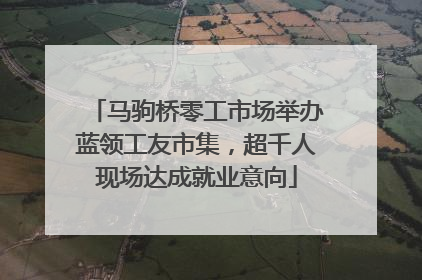 马驹桥零工市场举办蓝领工友市集，超千人现场达成就业意向
