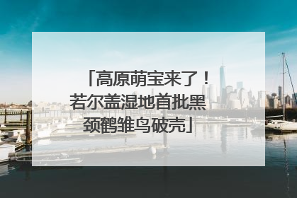 高原萌宝来了！若尔盖湿地首批黑颈鹤雏鸟破壳