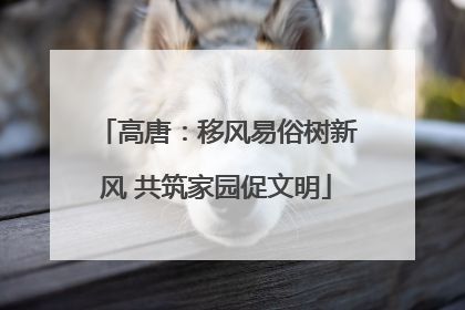 高唐：移风易俗树新风 共筑家园促文明