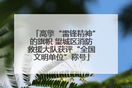 高擎“雷锋精神”的旗帜 望城区消防救援大队获评“全国文明单位”称号