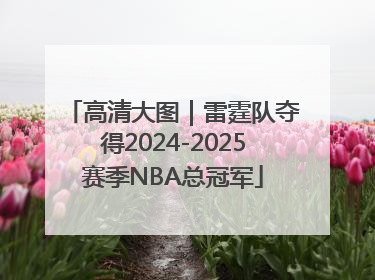 高清大图｜雷霆队夺得2024-2025赛季NBA总冠军