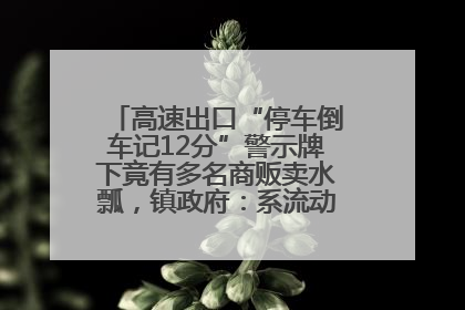 高速出口“停车倒车记12分”警示牌下竟有多名商贩卖水瓢，镇政府：系流动摊位，已多次劝离