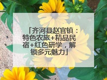 齐河县赵官镇：特色农旅+精品民宿+红色研学，解锁多元魅力