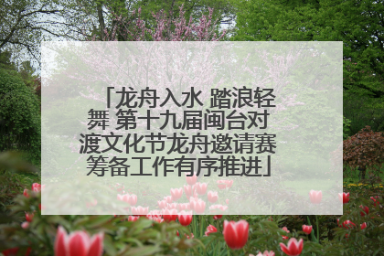 龙舟入水 踏浪轻舞 第十九届闽台对渡文化节龙舟邀请赛筹备工作有序推进