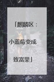 麒麟区：小蓝莓变成致富果