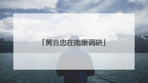 黄喜忠在南康调研