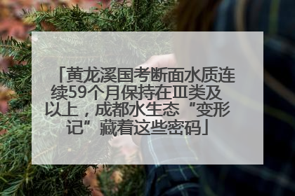 黄龙溪国考断面水质连续59个月保持在Ⅲ类及以上，成都水生态“变形记”藏着这些密码