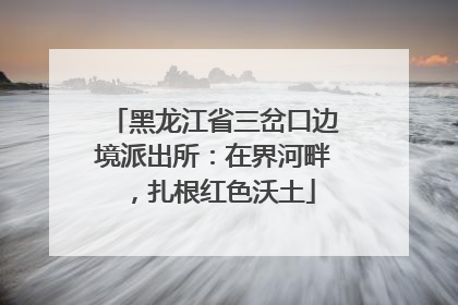 黑龙江省三岔口边境派出所：在界河畔，扎根红色沃土