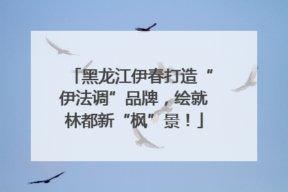 黑龙江伊春打造“伊法调”品牌，绘就林都新“枫”景！