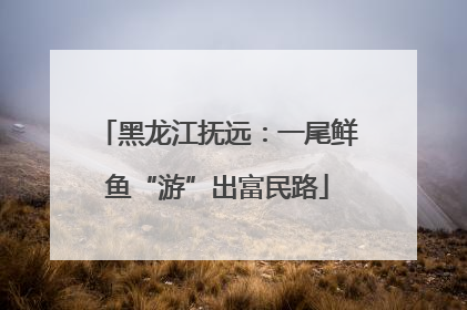 黑龙江抚远：一尾鲜鱼“游”出富民路