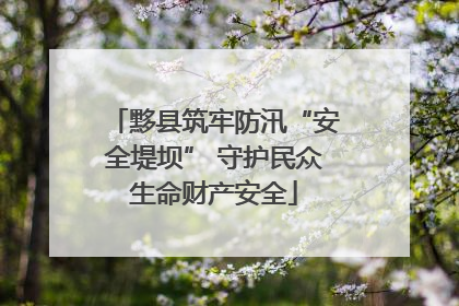 黟县筑牢防汛“安全堤坝” 守护民众生命财产安全