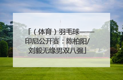（体育）羽毛球——印尼公开赛：陈柏阳/刘毅无缘男双八强