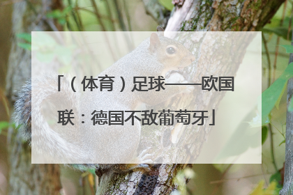 （体育）足球——欧国联：德国不敌葡萄牙
