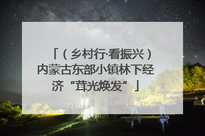 （乡村行·看振兴）内蒙古东部小镇林下经济“茸光焕发”