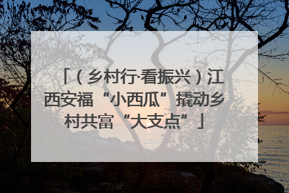 （乡村行·看振兴）江西安福“小西瓜”撬动乡村共富“大支点”