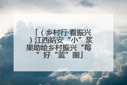 （乡村行·看振兴）江西靖安“小”浆果助绘乡村振兴“莓”好“蓝”图