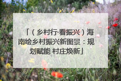 （乡村行·看振兴）海南绘乡村振兴新图景：规划赋能 村庄焕新