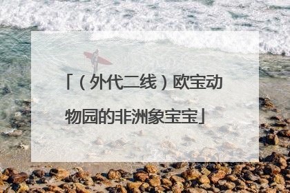 （外代二线）欧宝动物园的非洲象宝宝