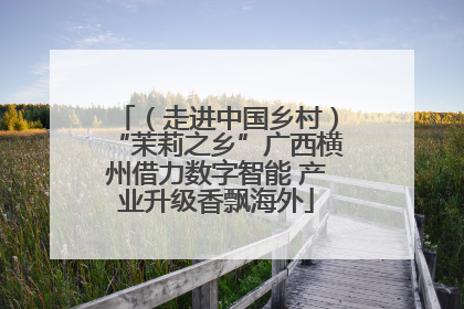 （走进中国乡村）“茉莉之乡”广西横州借力数字智能 产业升级香飘海外