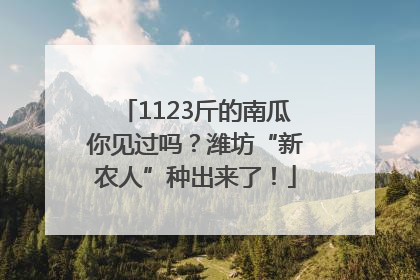 1123斤的南瓜你见过吗？潍坊“新农人”种出来了！