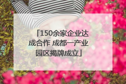 150余家企业达成合作 成都一产业园区揭牌成立