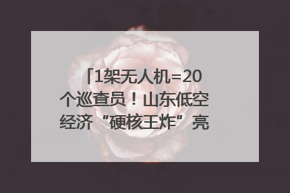1架无人机=20个巡查员！山东低空经济“硬核王炸”亮相青岛，下一个万亿赛道藏在这里