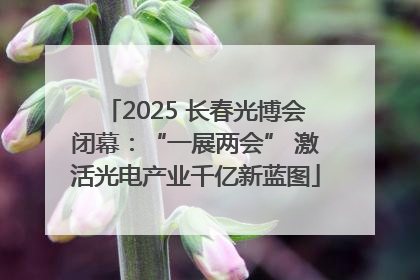 2025 长春光博会闭幕：“一展两会” 激活光电产业千亿新蓝图