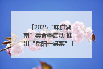 2025“味道湖南”美食季启动 推出“岳阳一桌菜”