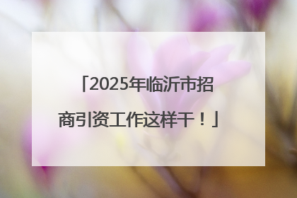 2025年临沂市招商引资工作这样干！
