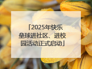 2025年快乐垒球进社区、进校园活动正式启动