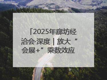 2025年廊坊经洽会·深度｜放大“会展+”乘数效应 打造消费新场景