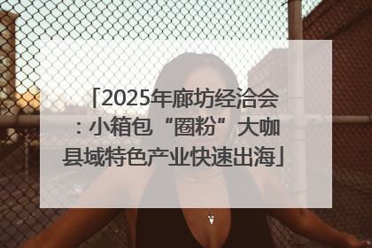 2025年廊坊经洽会：小箱包“圈粉”大咖 县域特色产业快速出海