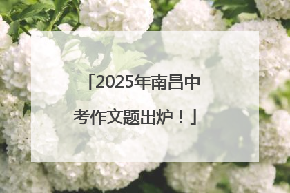 2025年南昌中考作文题出炉！