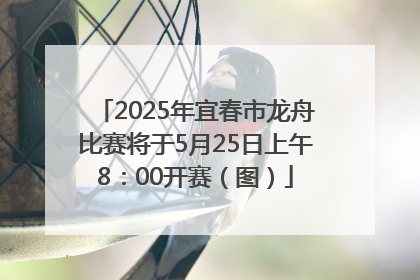 2025年宜春市龙舟比赛将于5月25日上午8：00开赛（图）