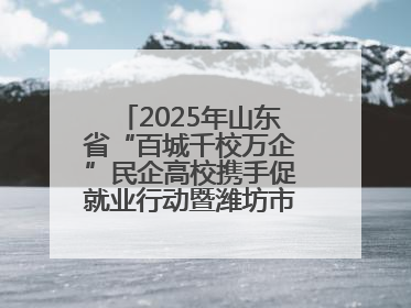 2025年山东省“百城千校万企”民企高校携手促就业行动暨潍坊市职教活动周启动