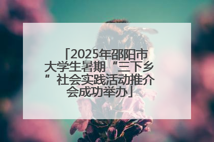 2025年邵阳市大学生暑期“三下乡”社会实践活动推介会成功举办