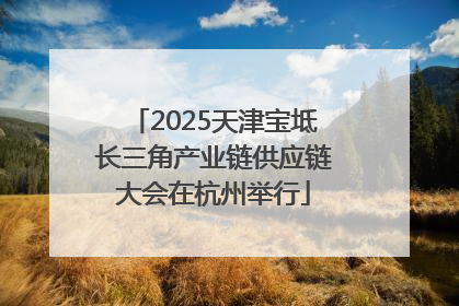 2025天津宝坻长三角产业链供应链大会在杭州举行