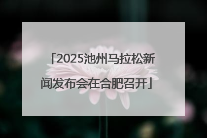 2025池州马拉松新闻发布会在合肥召开