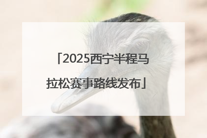 2025西宁半程马拉松赛事路线发布