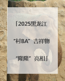 2025黑龙江“村BA”吉祥物“隆隆”亮相