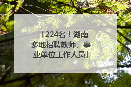 224名！湖南多地招聘教师、事业单位工作人员