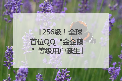 256级！全球首位QQ“金企鹅”等级用户诞生