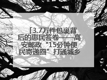 3.7万件包裹背后的惠民答卷——高安邮政“15分钟便民寄递圈”打通城乡服务末梢