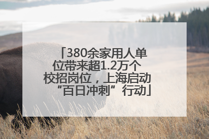 380余家用人单位带来超1.2万个校招岗位，上海启动“百日冲刺”行动