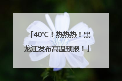 40℃！热热热！黑龙江发布高温预报！